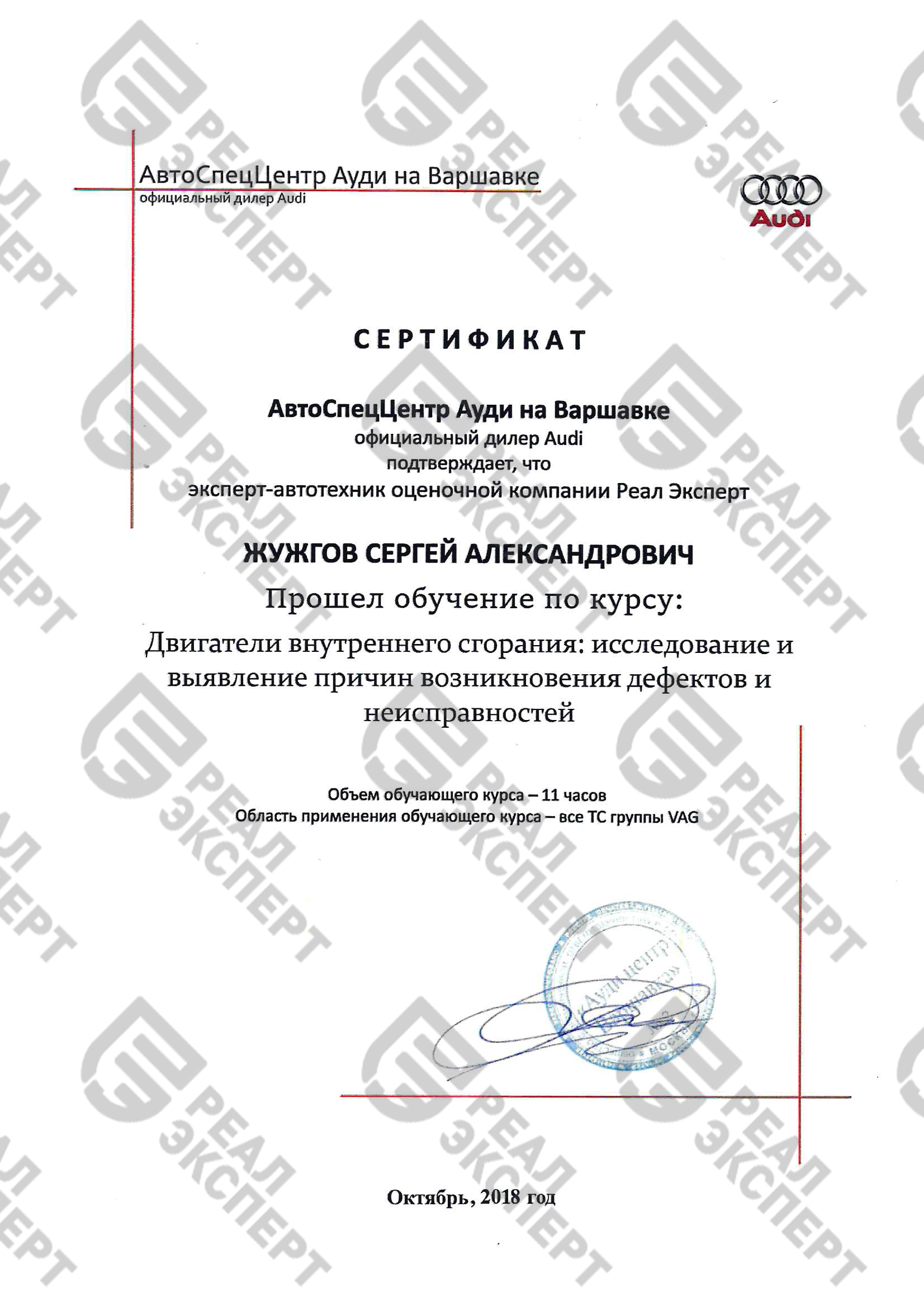 Сертификат от компании AUDI (ДВС)