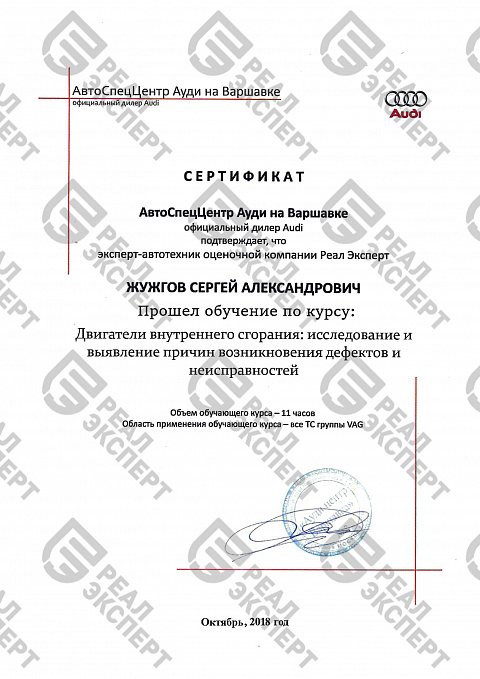 Сертификат от компании AUDI (ДВС)